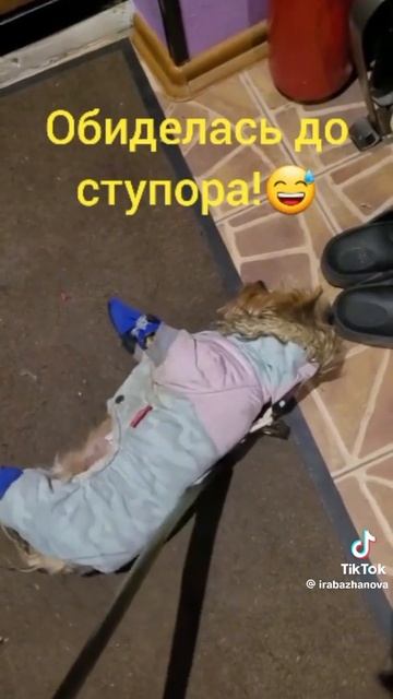 Ступор
