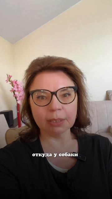 Какая часть тела у собаки самая чувствительная?🤫