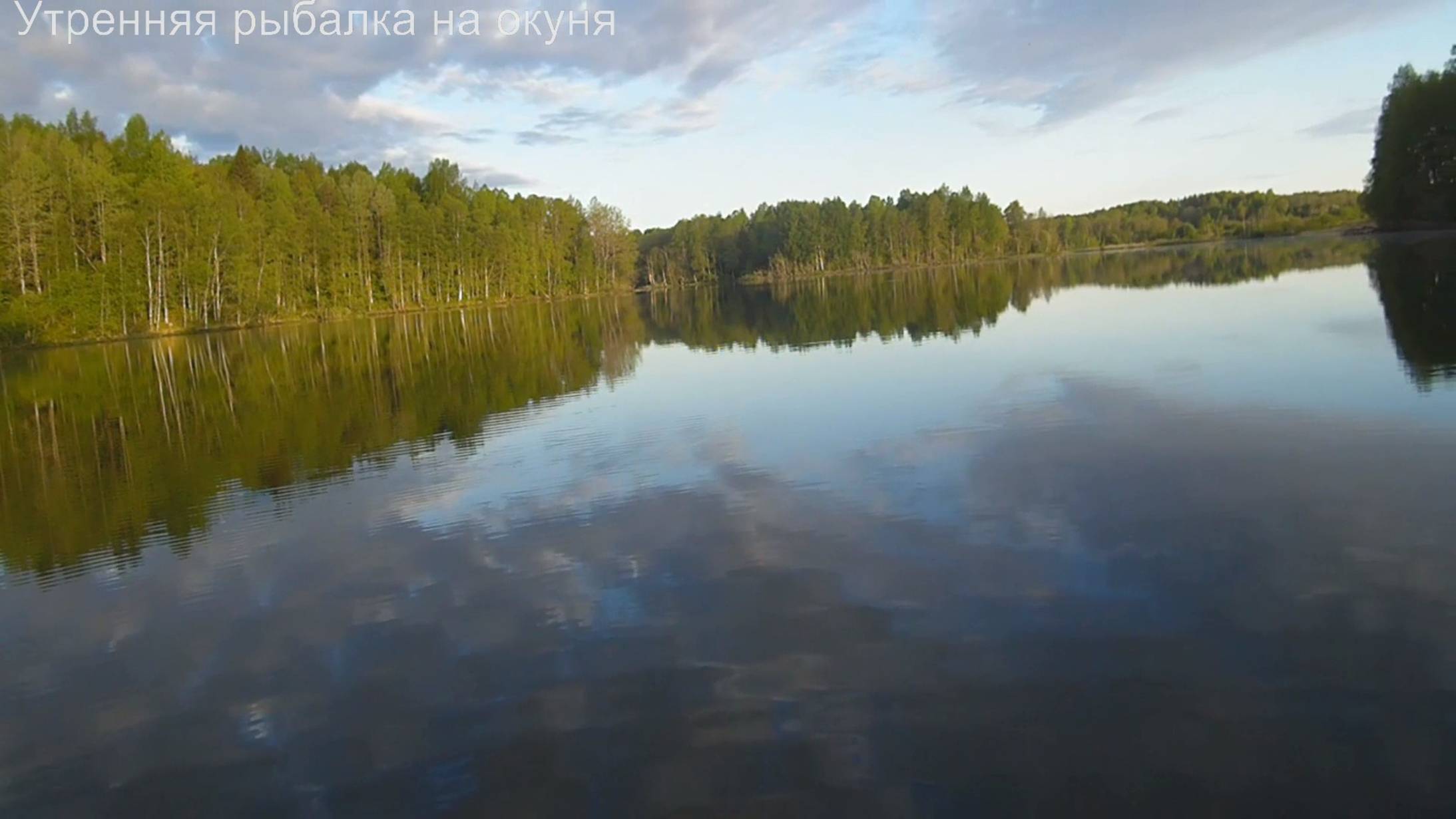 Утренняя рыбалка на окуня