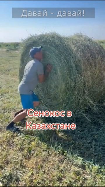 ПР 145М сенокос в казахстане