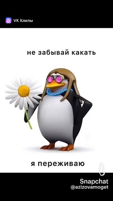 XD