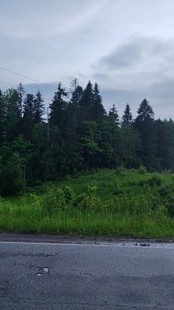Ленобласть, вечер, красота