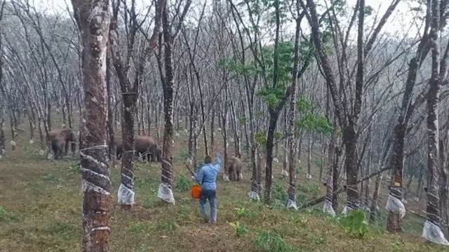200 Невероятных Моментов, Снятых на Камеру