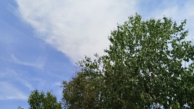 VID_20250606_150742.mp4
