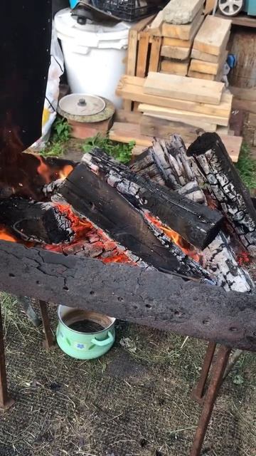 костёр огонь шашлык машлык