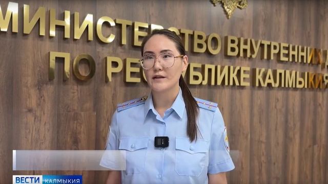 Полицией Калмыкии задержан преступник, подозреваемый в кибермошенничестве