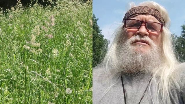 поздравление с днём рождения от волшебника Ивана Ивановича Кулебякина 6 июня