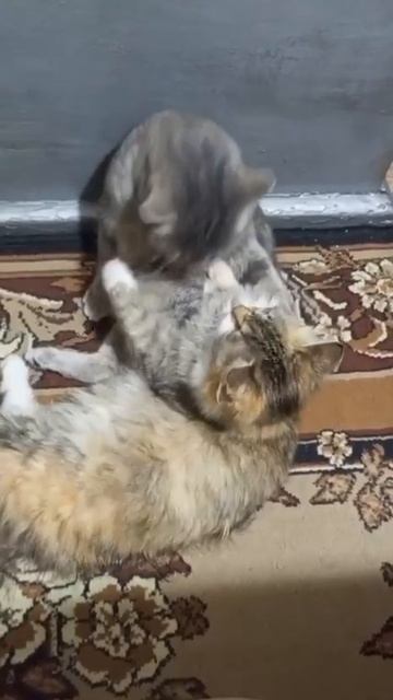 Это любовь🥰