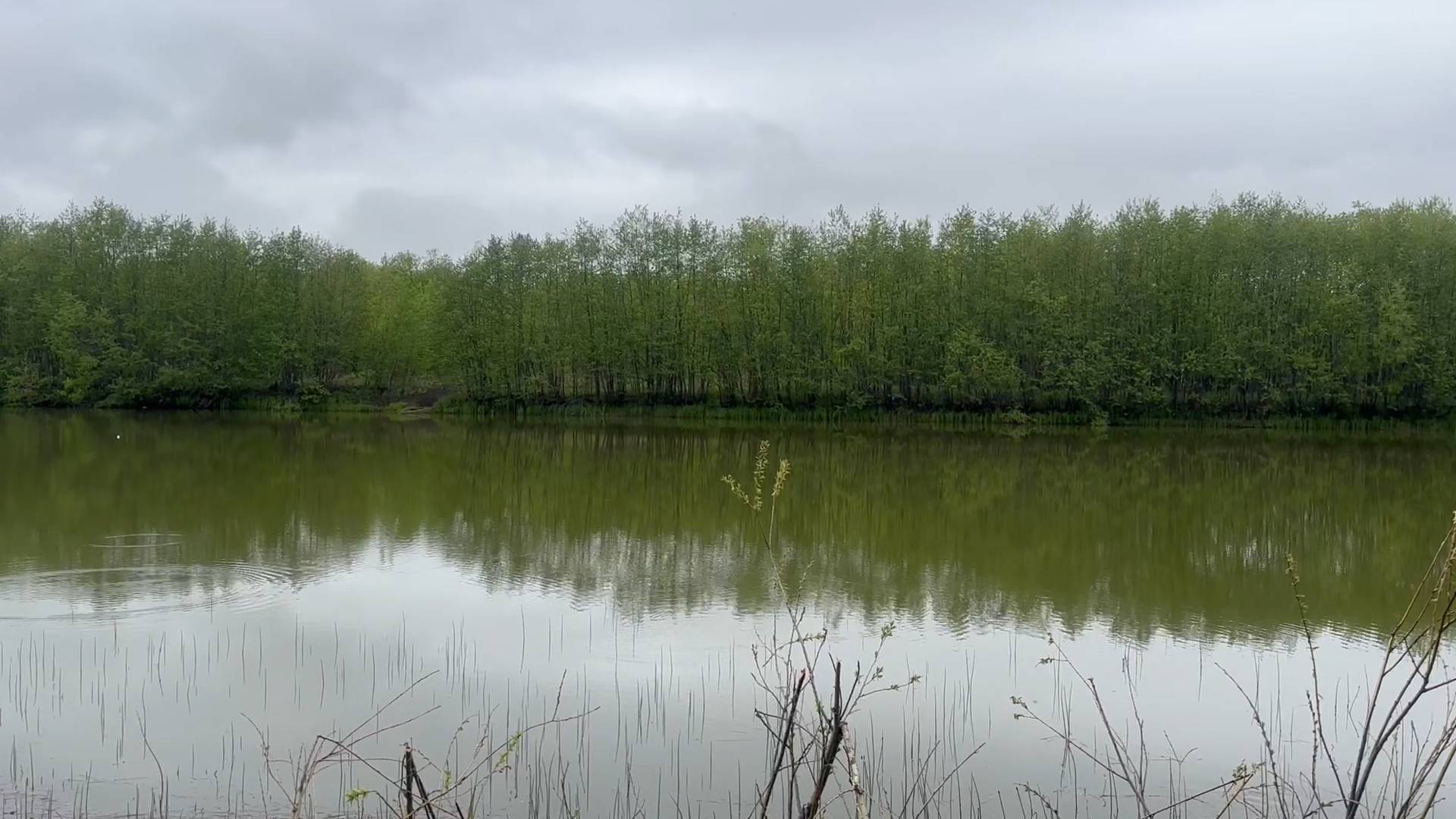 ТРАГЕДИЯ НА ОЗЕРЕ
