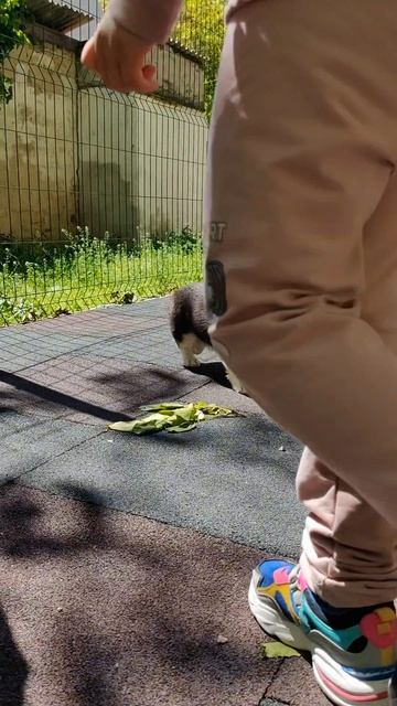 Ксюшенька