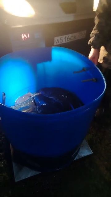 06-06-2025