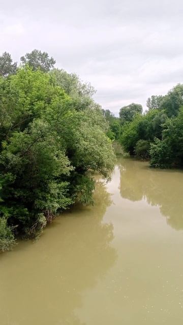 Дорога 🛤️ в🌿лето🪟🏡