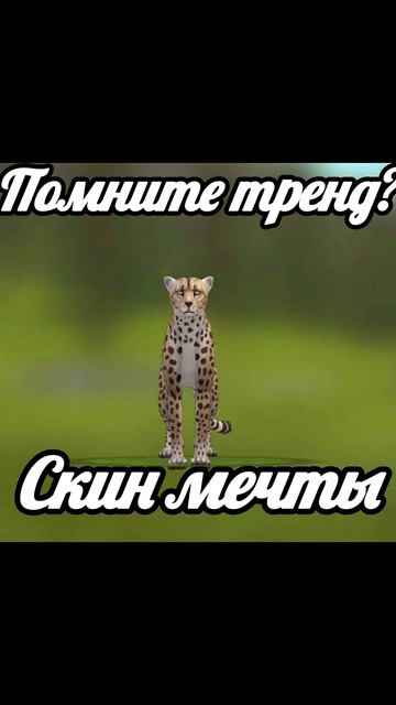 Вы же помните?