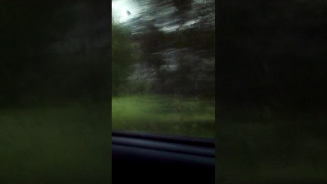 еду к бабушке в бывалово