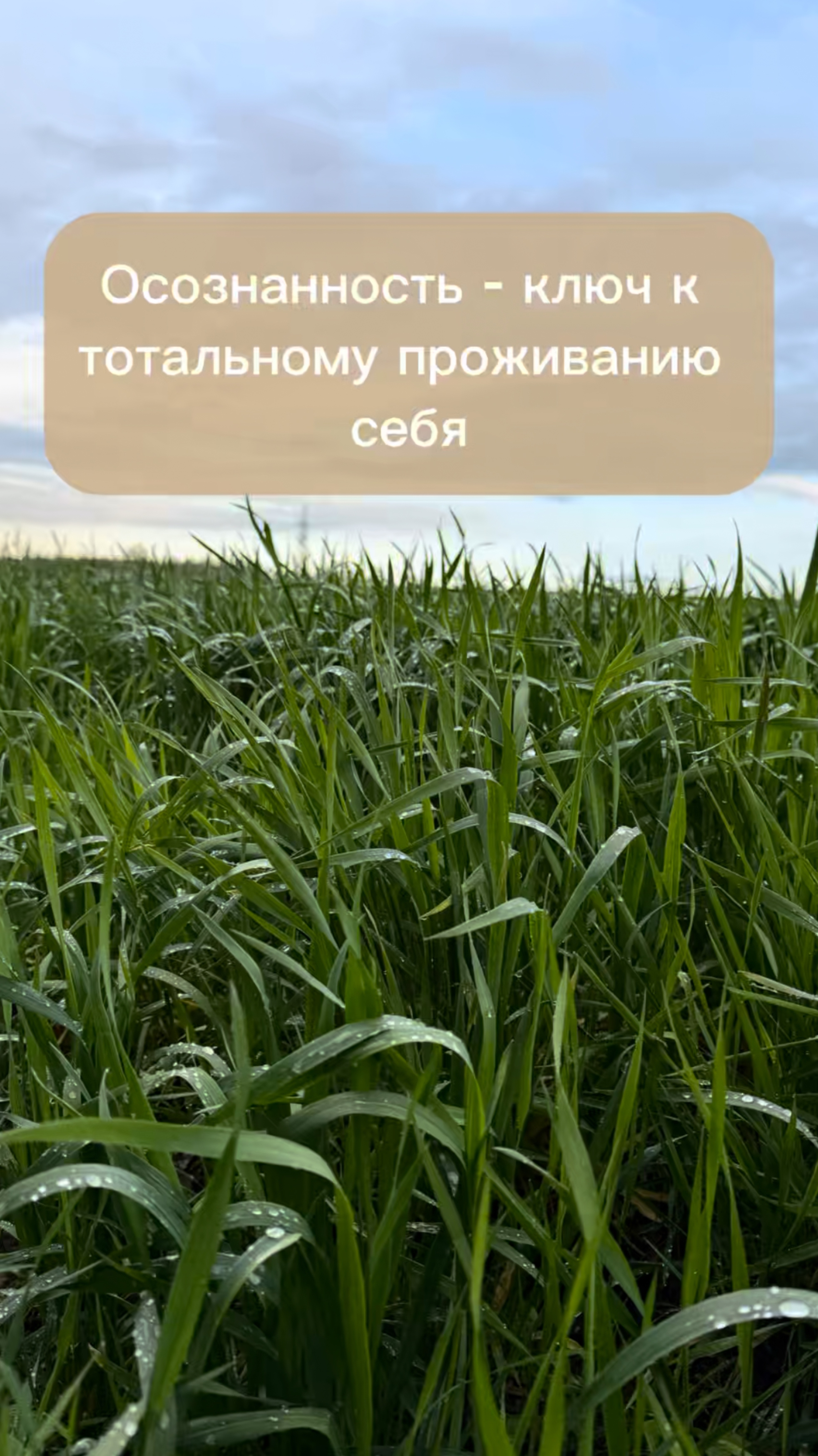 Осознанность - ключ к тотальному проживанию себя.