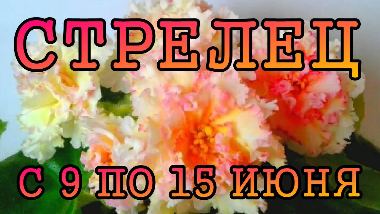 СТРЕЛЕЦ таро прогноз на неделю с 9 по 15 ИЮНЯ 2025 года.