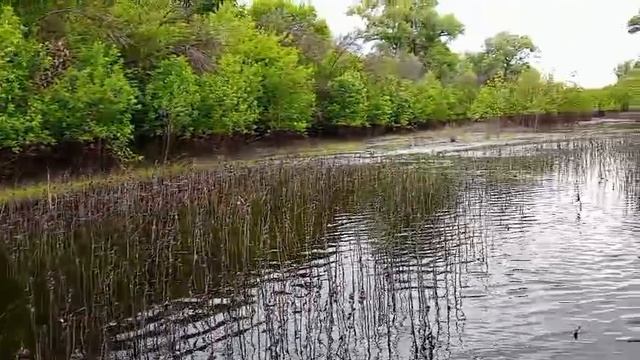 водные просторы на линхай 650