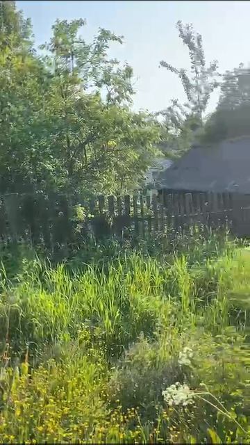 вид на дом, участок сарай