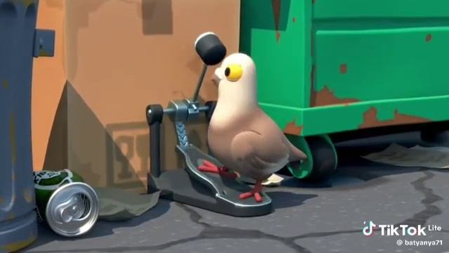 1000034681.mp4