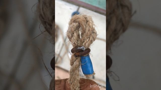 Подвязка томатов и огурцов в теплице.