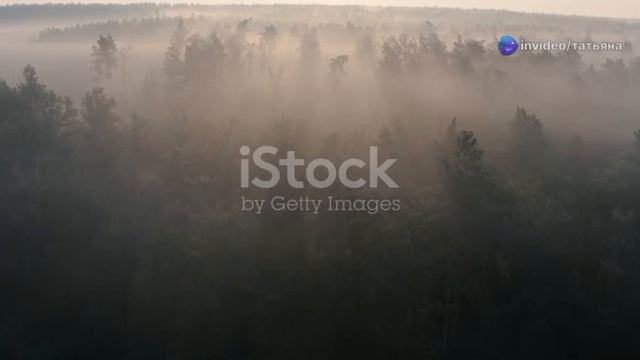 Королевский супер-чай