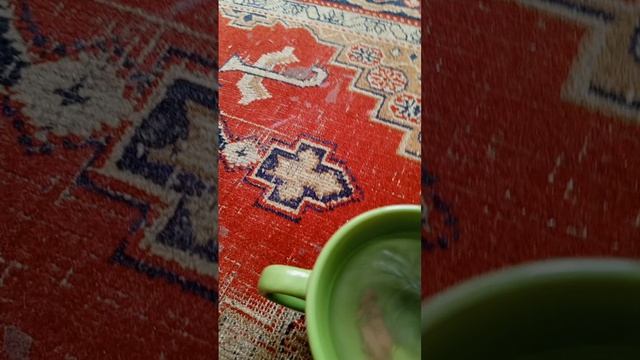 животные пивотные