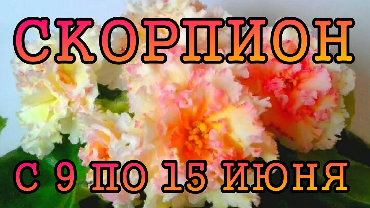СКОРПИОН таро прогноз на неделю с 9 по 15 ИЮНЯ 2025 года.