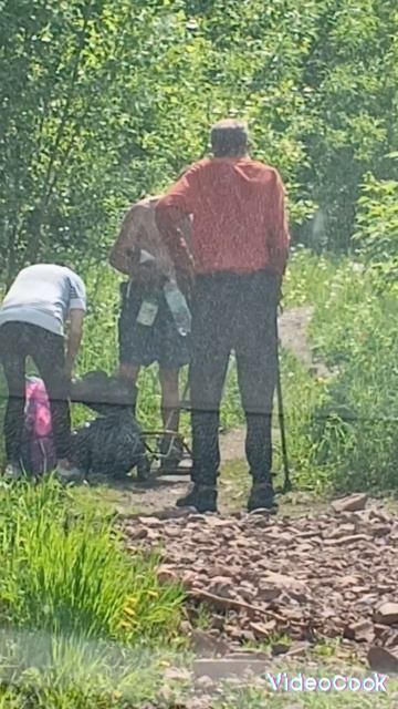 Три товарища.