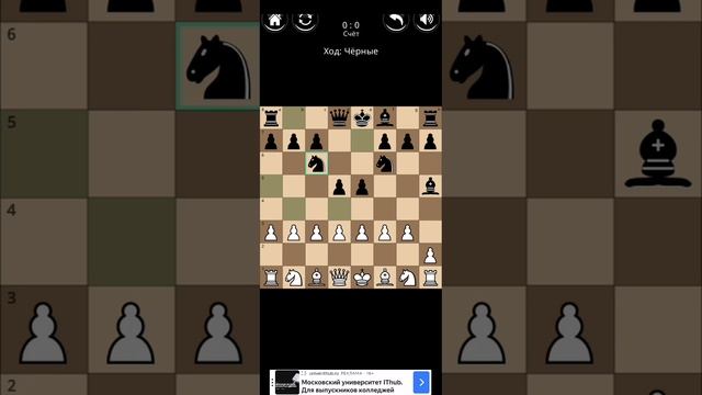 Самый странный дебюд в шахматах - плотина бобра.