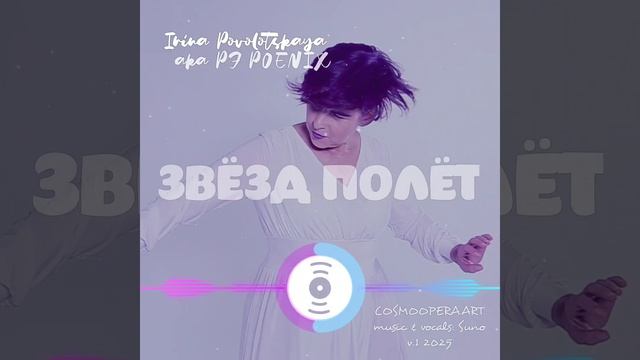 Звёзд полёт