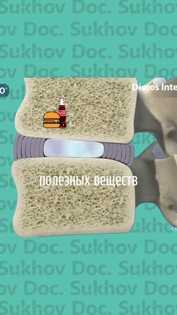 Почему нельзя двигаться когда болит спина?