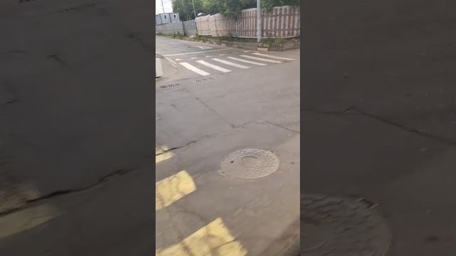 Поездки в общественном транспорте | 6-июн-2025
