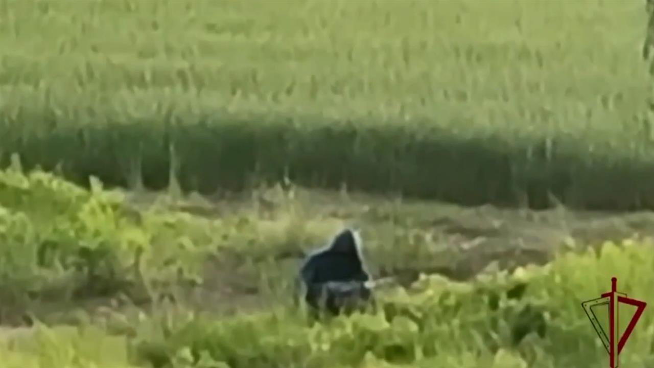 Мужчина пытался совершить теракт в Рязанской области, но был нейтрализован: видео