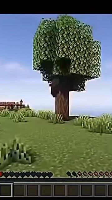 /\