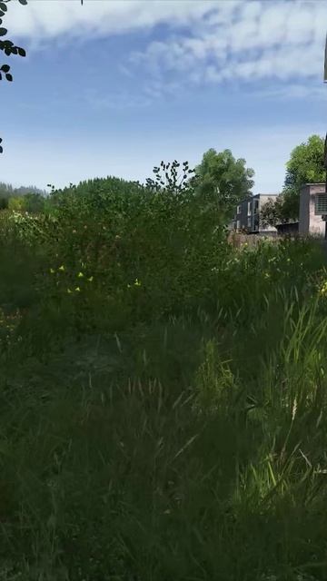 Дуэль на винтовках с блондинкой DayZ