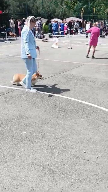 VID-20250606-WA0001.mp4