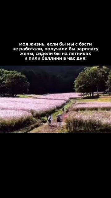 🌸 Розовый Kodak M35 — артикул WB 41016046