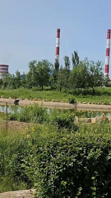 Страус в казанском зоопарке 🐻