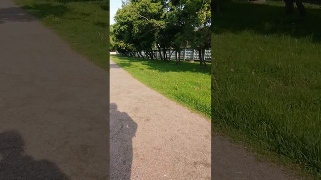 По полям, по лесам