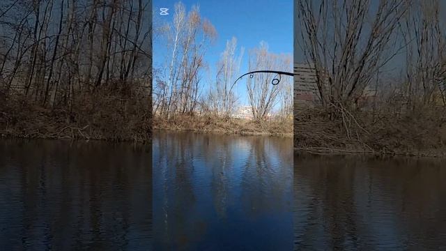 Щука близо 2кг от Марица. Извинявам се че има неприятен