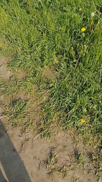 VID_20250605_080228