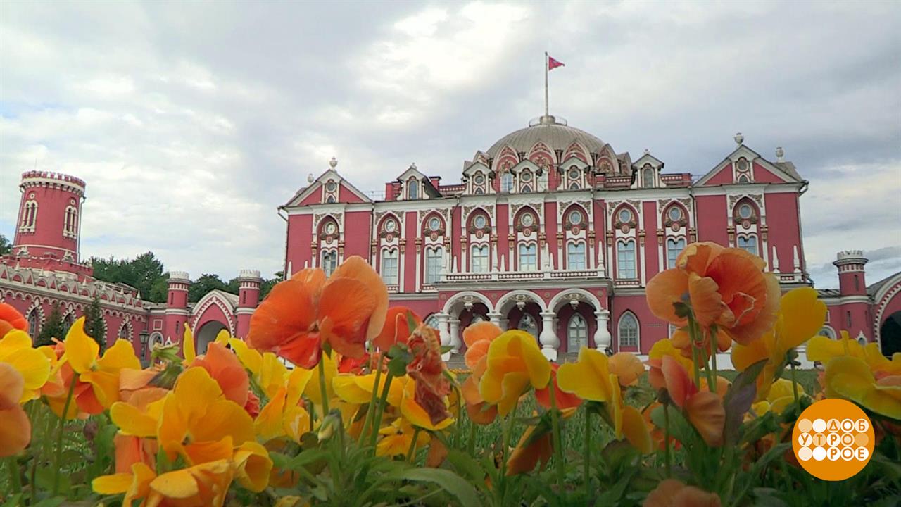 Россыпи бриллиантов в Петровском Путевом дворце. Доброе утро. Фрагмент выпуска от 06.06.2025