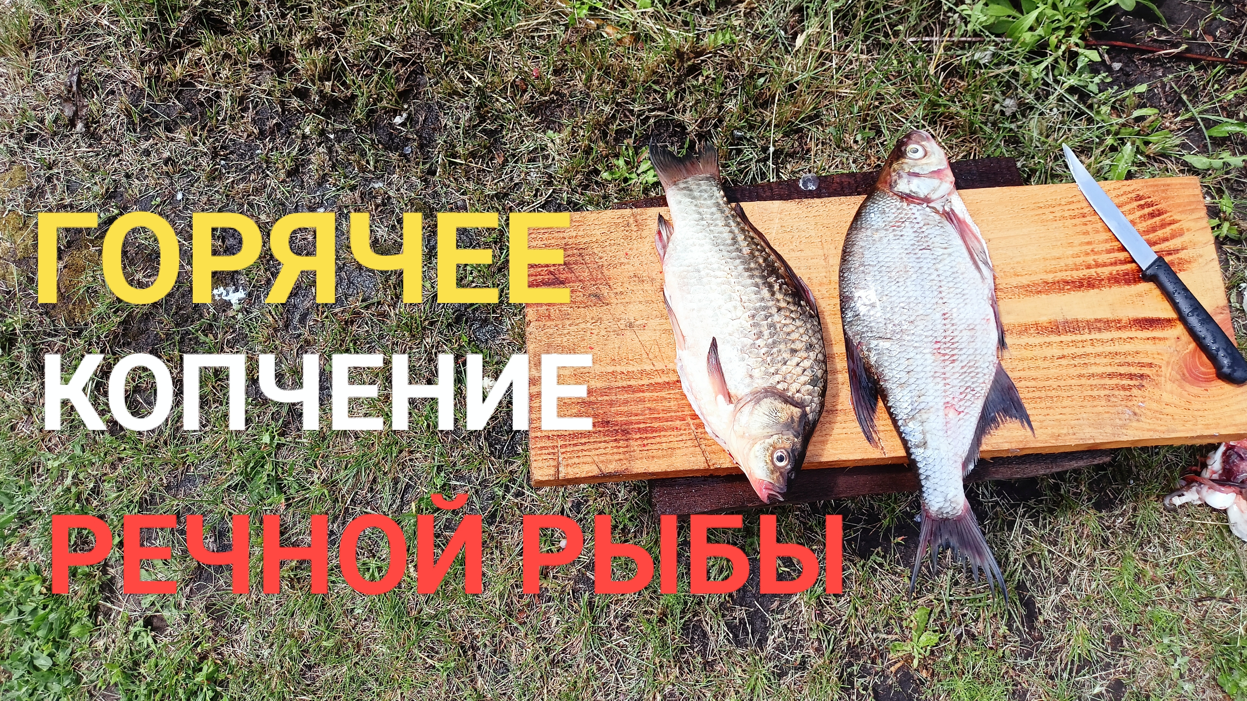Карась и лещ горячего копчения
