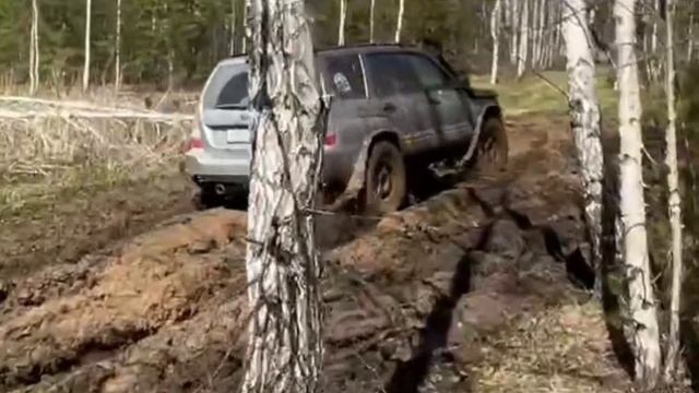 Forester SG 31е колеса