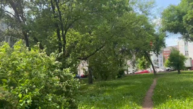 My live. Волшебство природы.
