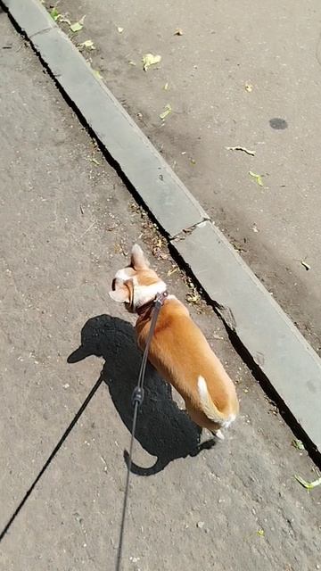 Сеню не покидает хорошее настроение😁