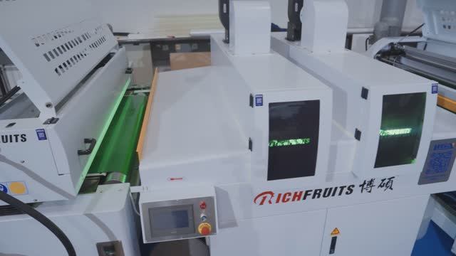 Линия RICHFRUITS Inert Coating (обзор) │ UV Coating & 3D Texture Line