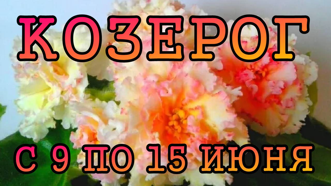 КОЗЕРОГ таро прогноз на неделю с 9 по 15 ИЮНЯ 2025 года.