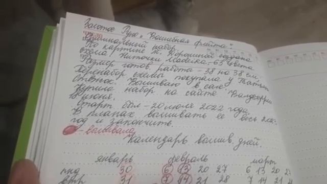 📽️3.О процессе"Волшебная Флейта"от Золотое Руно.
Процесс вышивки 2022 года.