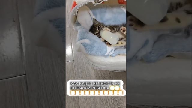 Этот не пропадёт! 🙂👍